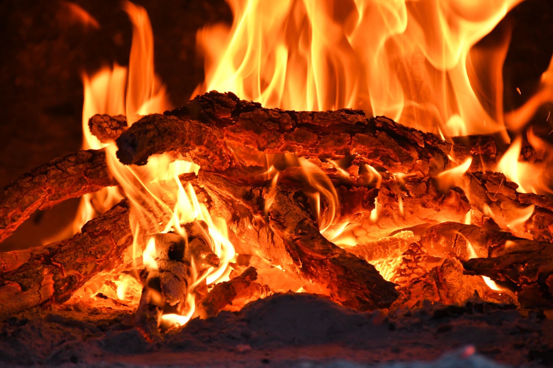 Close-up of a vibrant campfire showcasing orange flames and crackling firewood.